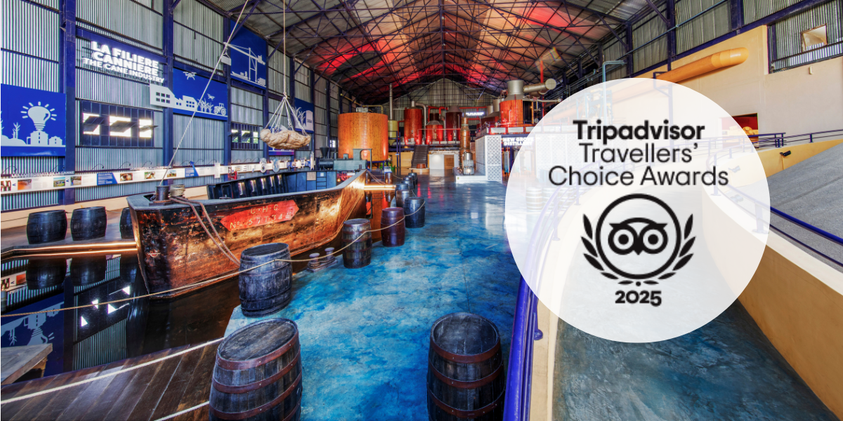 certificat travellers choice tripadvisor 2025