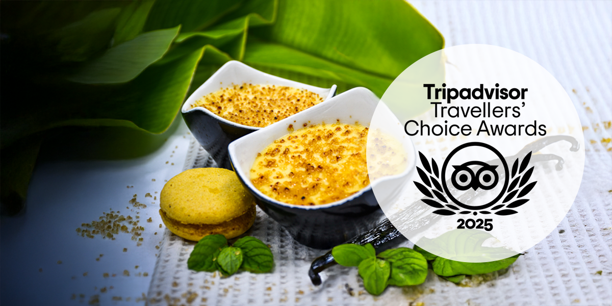 certificat travellers choice tripadvisor 2025