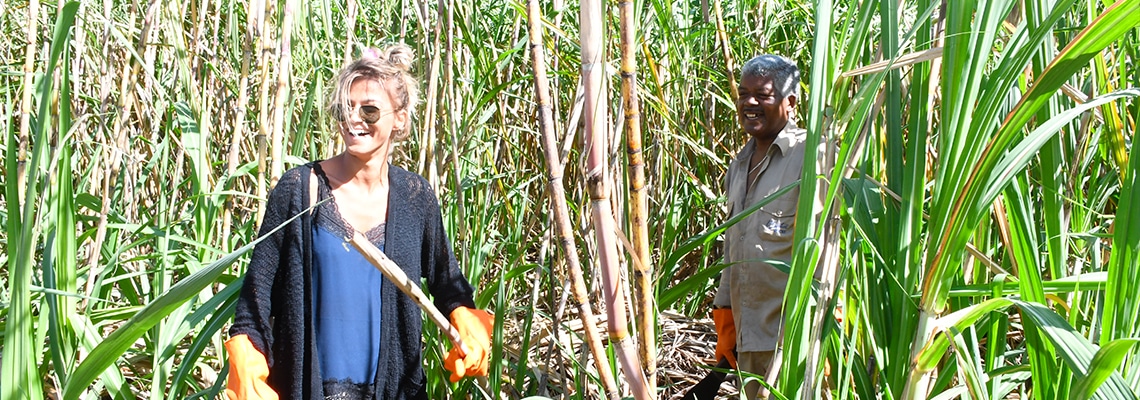 cane cutting experience ads.jpg